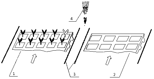 Seedling fetching and planting method for tray seedling transplantation