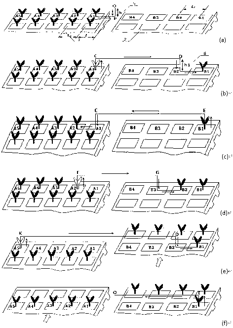 Seedling fetching and planting method for tray seedling transplantation