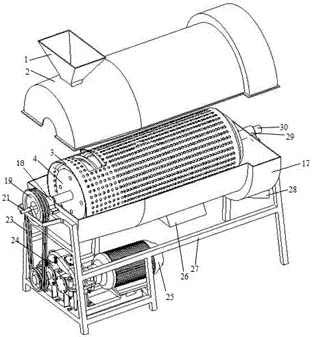 A kind of spiral flexible force notoginseng peeling machine