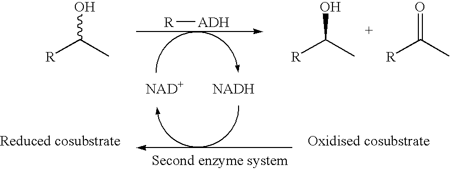 NADH oxidase from lactobacillus