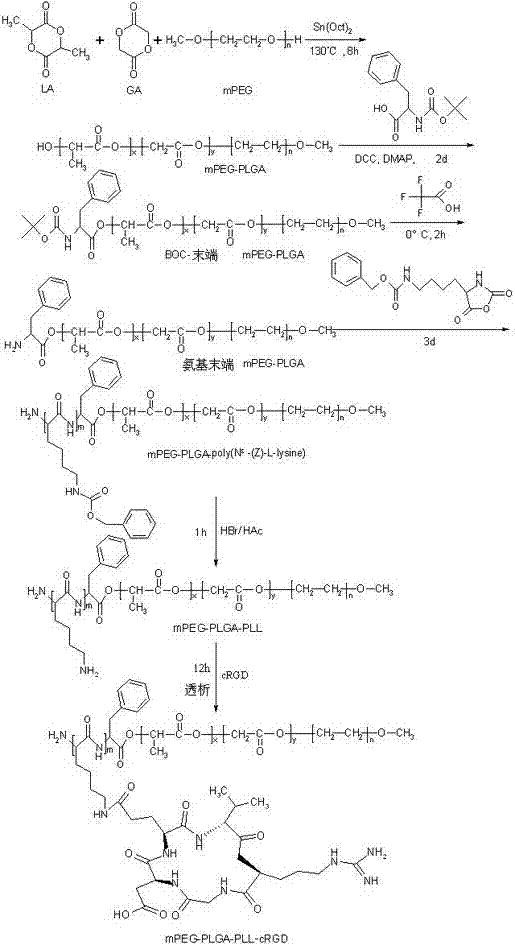 Preparation method of nanometer drug delivery system carrying tanshinone IIA and application thereof