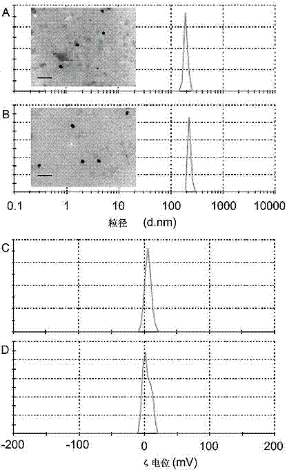 Preparation method of nanometer drug delivery system carrying tanshinone IIA and application thereof