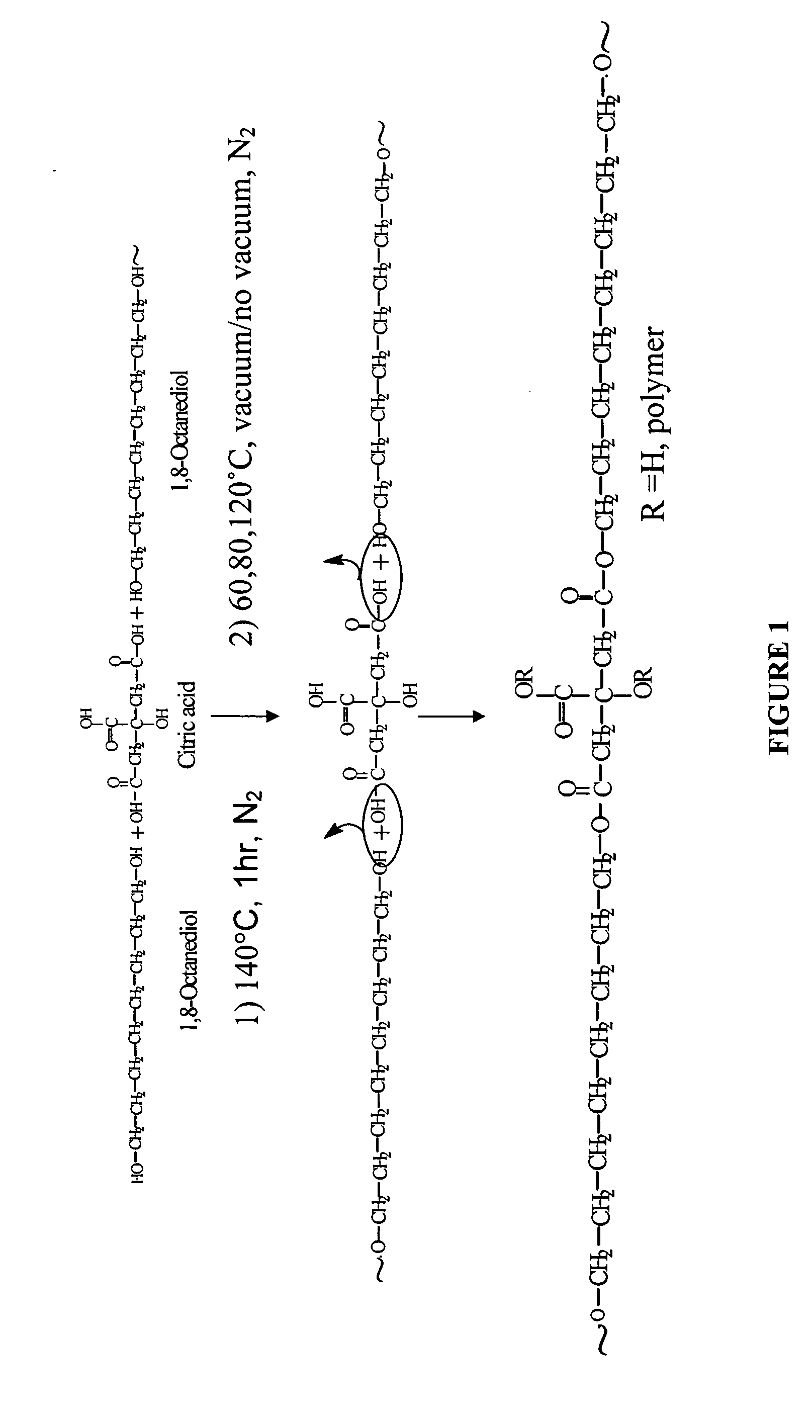 Novel biodegradable elastomeric scaffold for tissue engineering and light scattering fingerprinting methods for testing the same