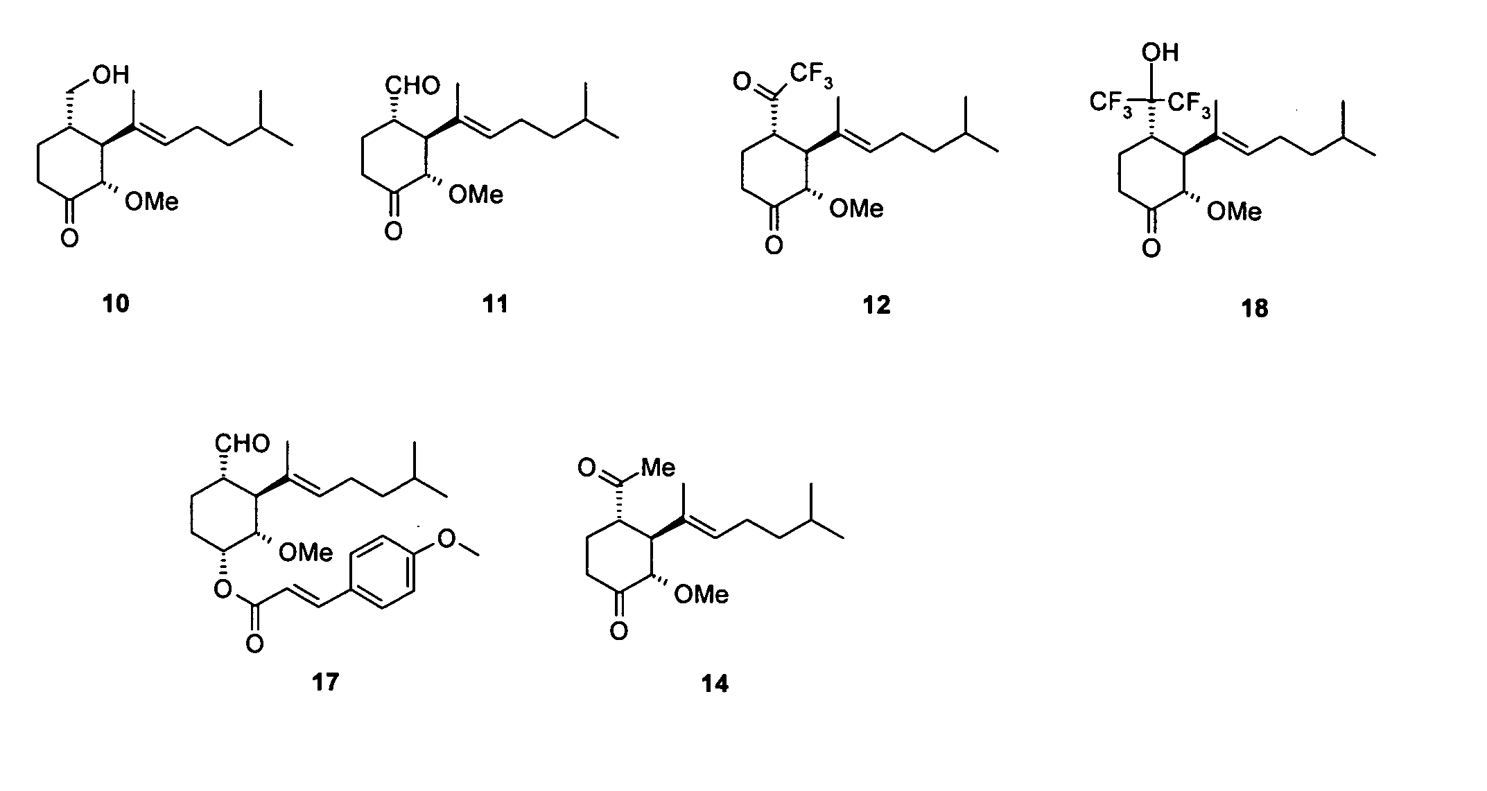 Novel Angiogenesis inhibitors and pharmaceutical/cosmetic applications thereof