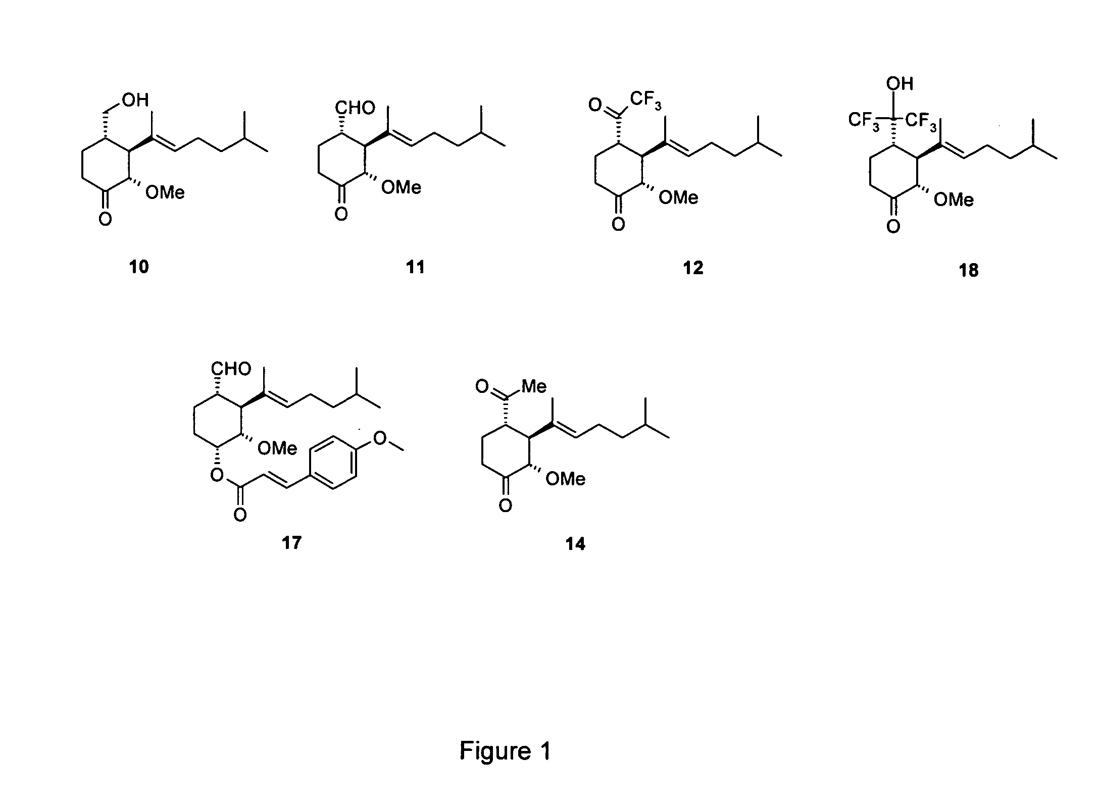 Novel Angiogenesis inhibitors and pharmaceutical/cosmetic applications thereof