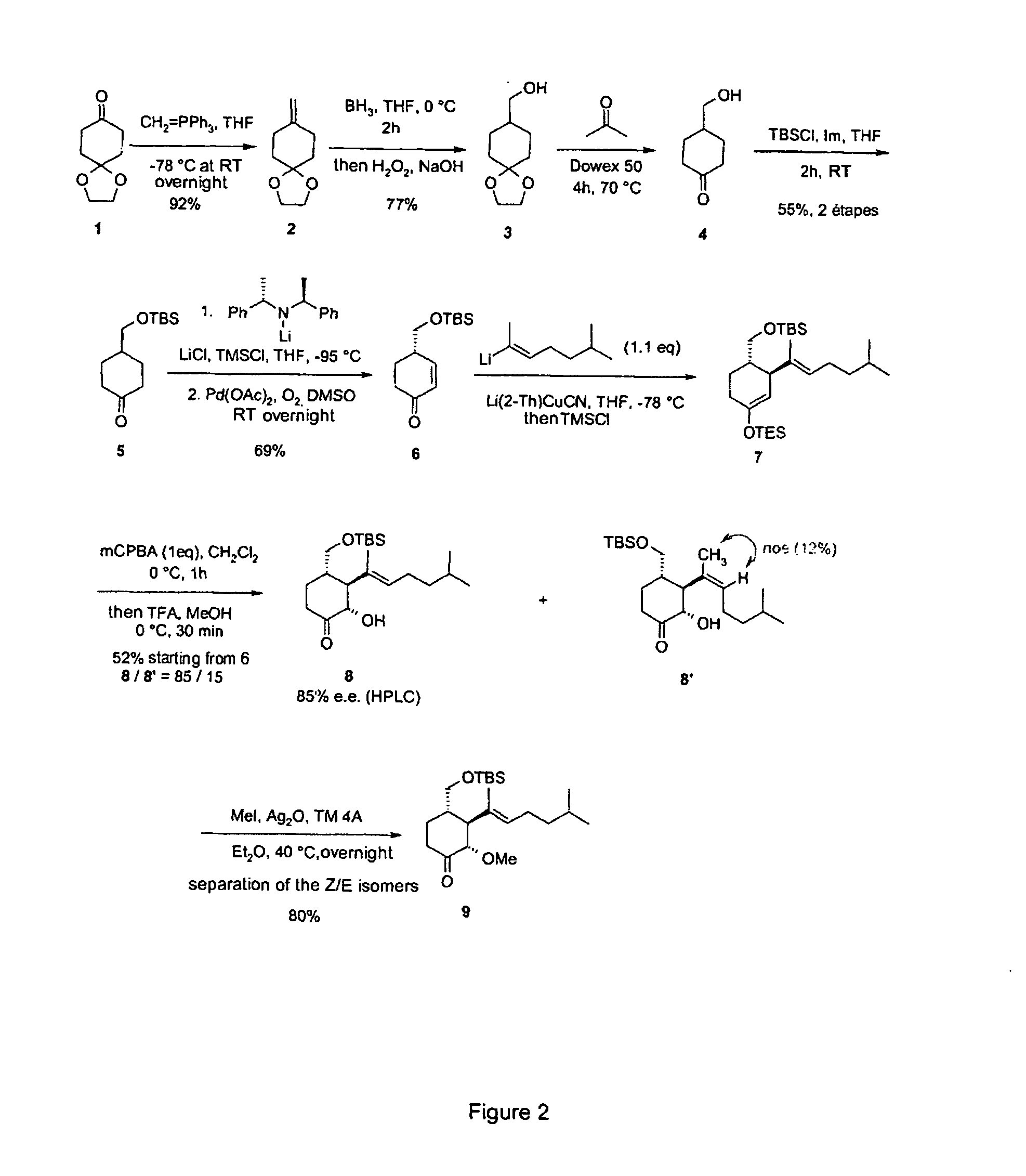 Novel Angiogenesis inhibitors and pharmaceutical/cosmetic applications thereof