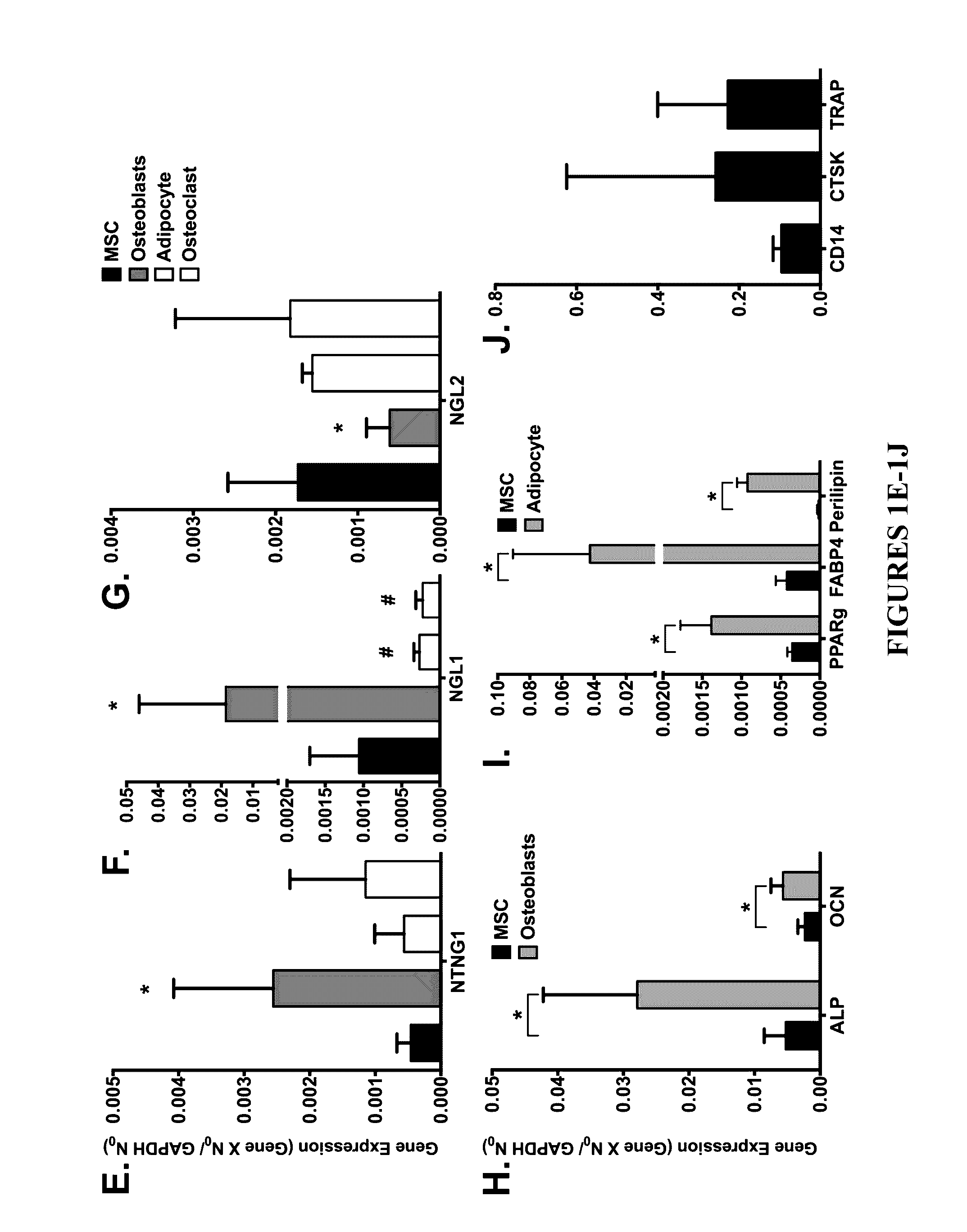 Neurogenic regulation of bone growth and bone degradation