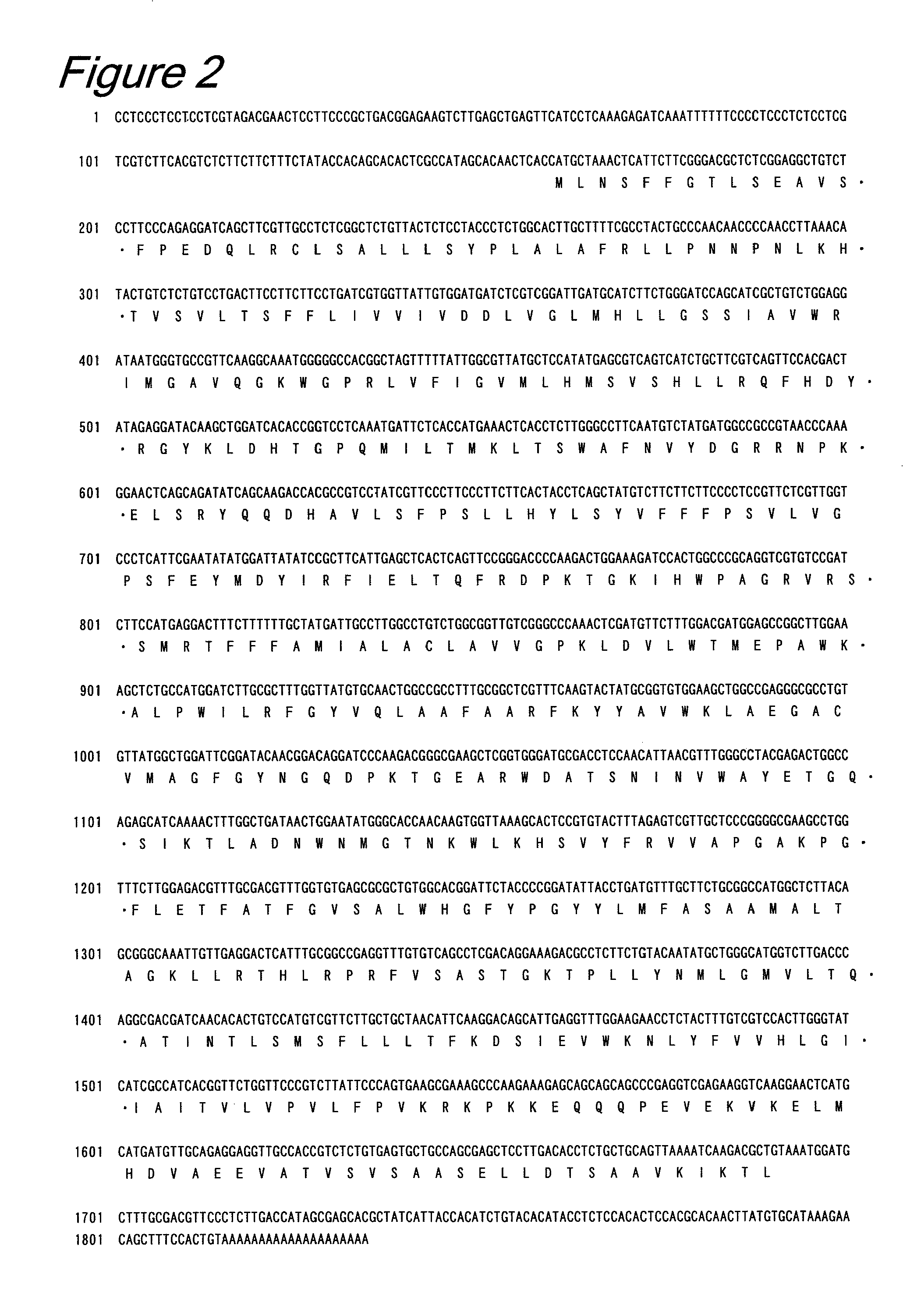 Novel lysophospholipid acyltransferase