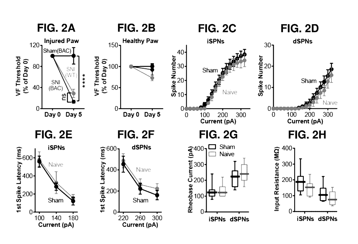 Methods and compositions for treating pain