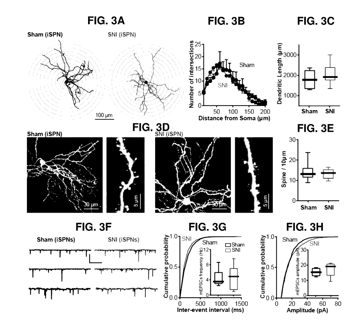 Methods and compositions for treating pain