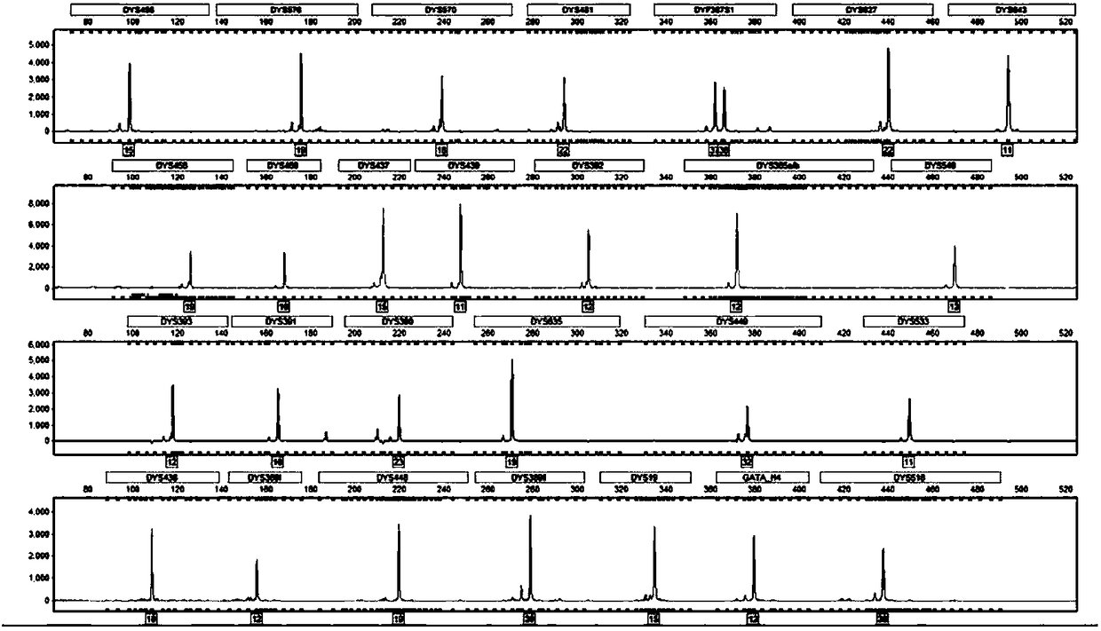 Primer set for identifying human Y chromosome typing, and applications, and product using primer set