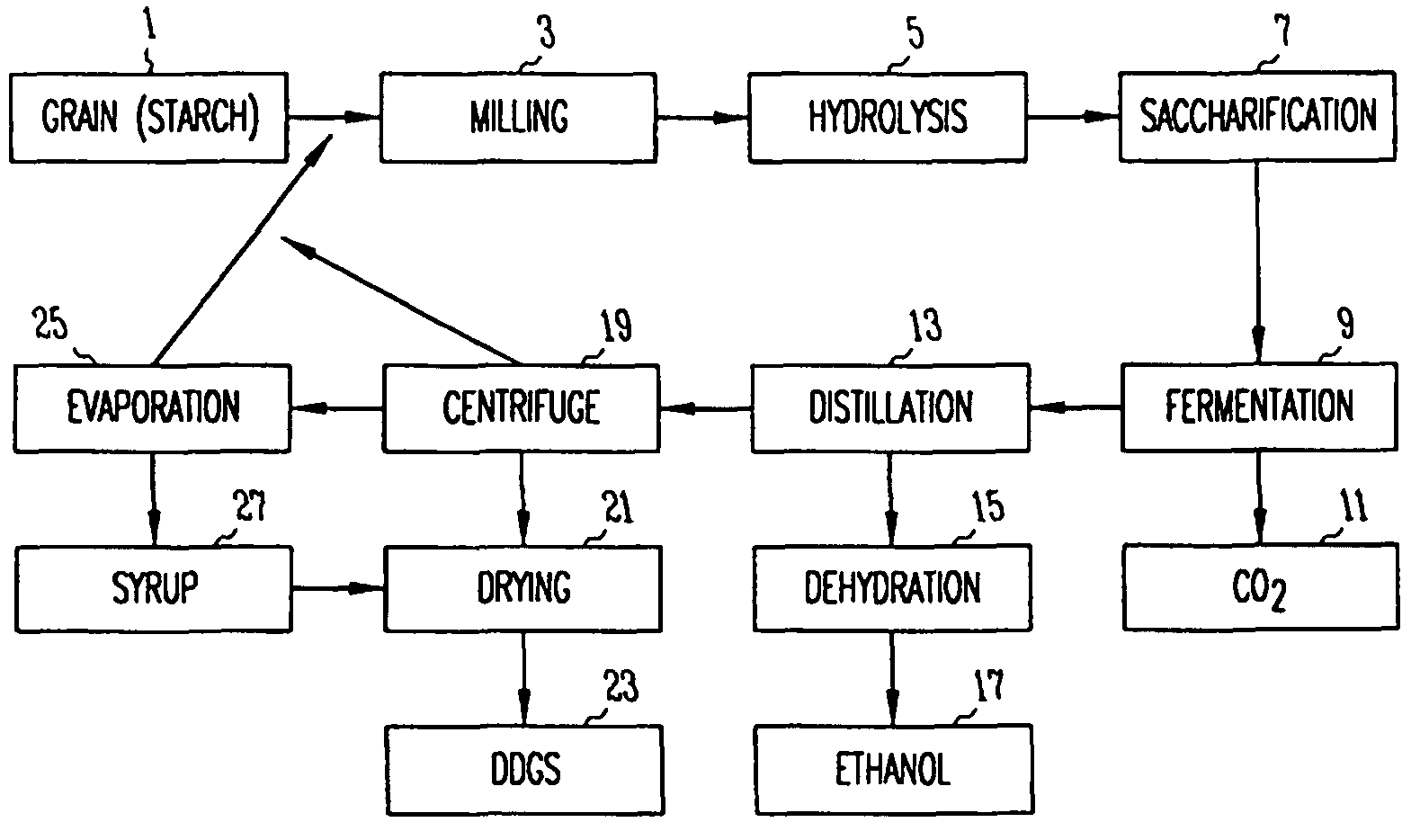 Co-production of biodiesel and an enriched food product from distillers grains