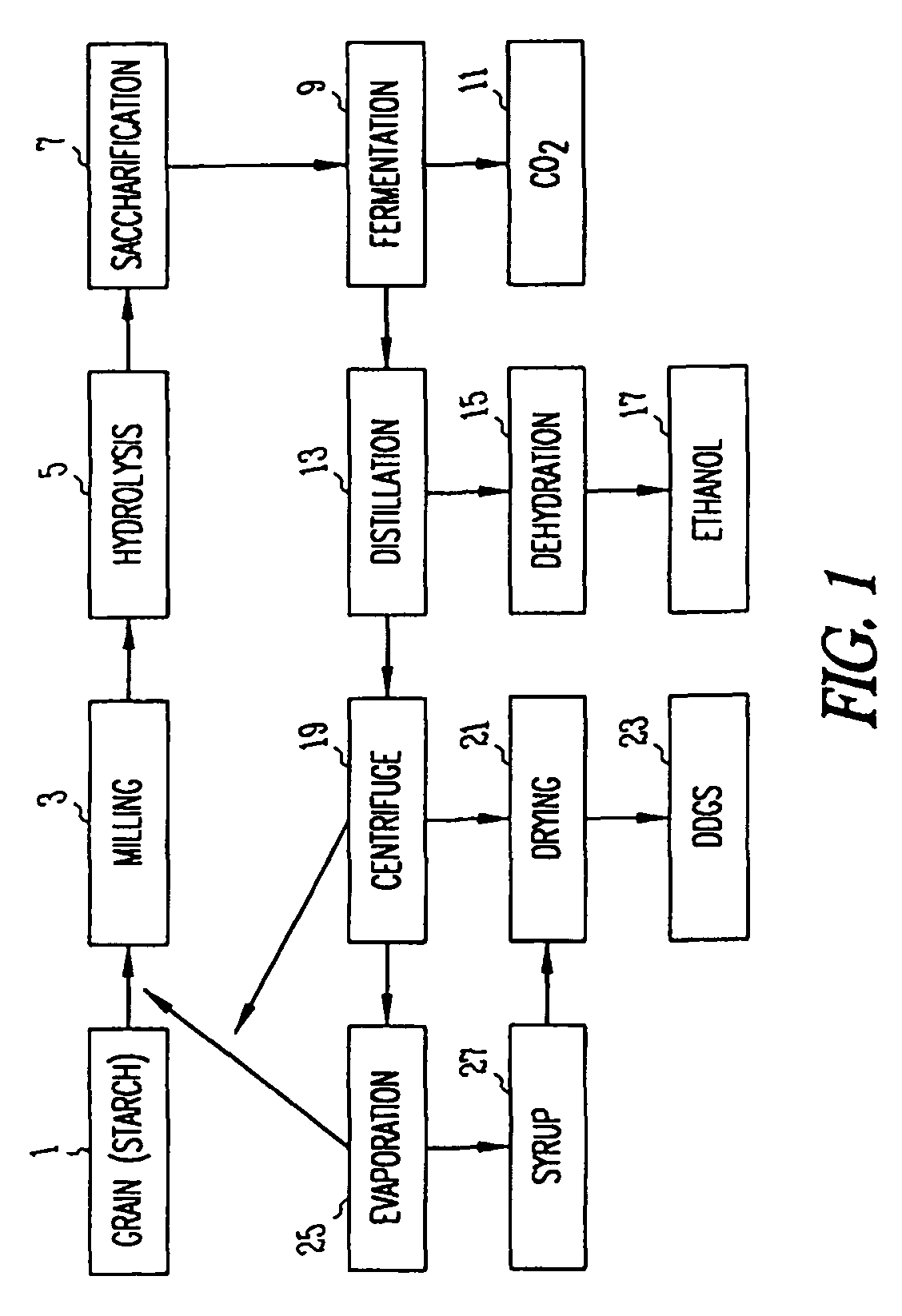 Co-production of biodiesel and an enriched food product from distillers grains