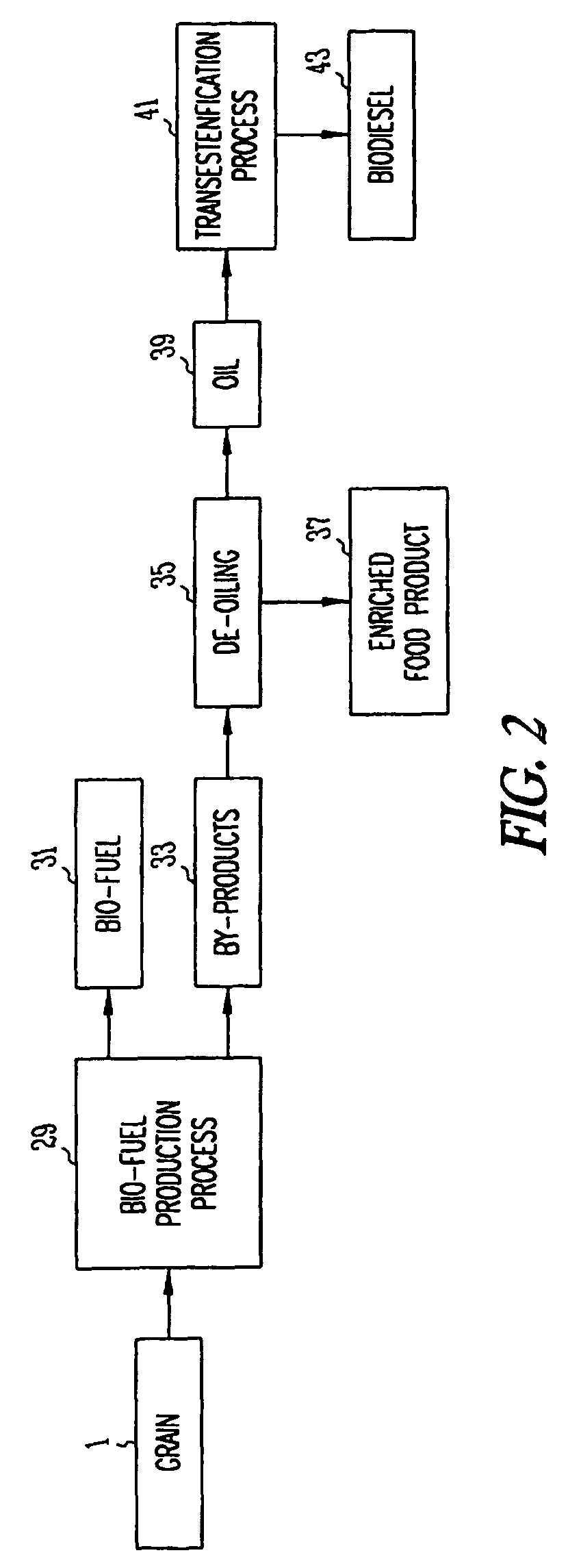 Co-production of biodiesel and an enriched food product from distillers grains