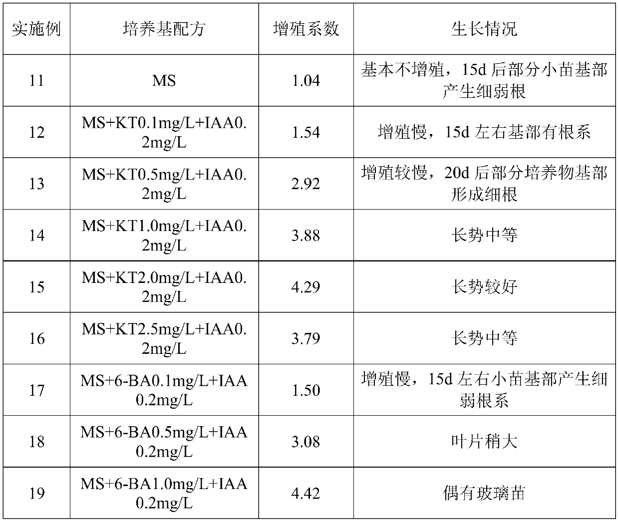 A kind of cultivation method of alum root 'matcha' seedling