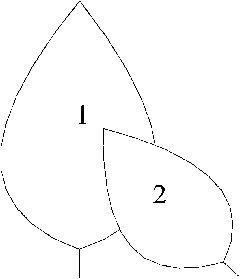 Nondestructive measuring method for leaf area of broad leaved plant