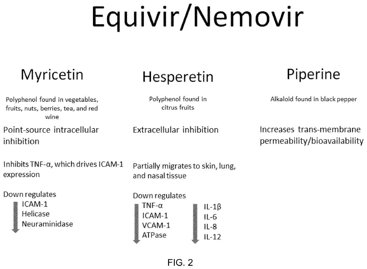 Method and composition for preventing and treating viral infections