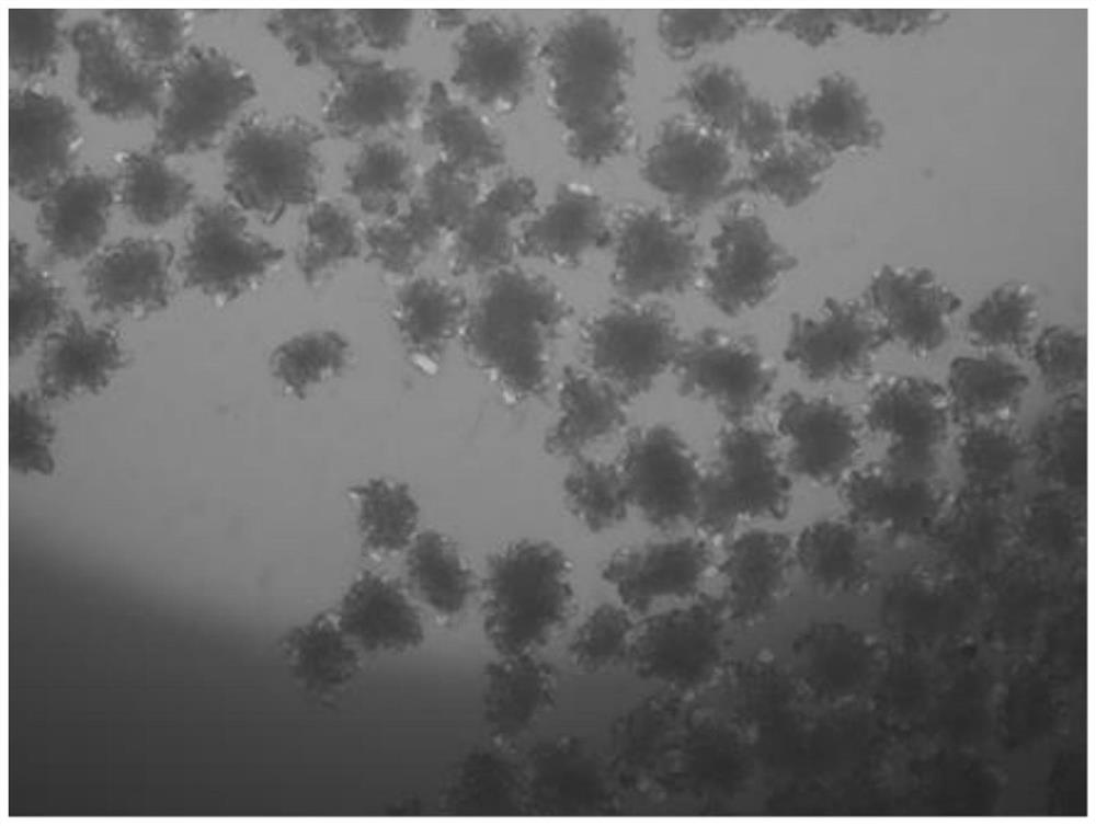 A kind of refined crystallization method of sugammadex sodium