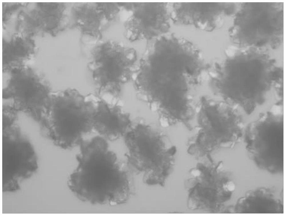 A kind of refined crystallization method of sugammadex sodium