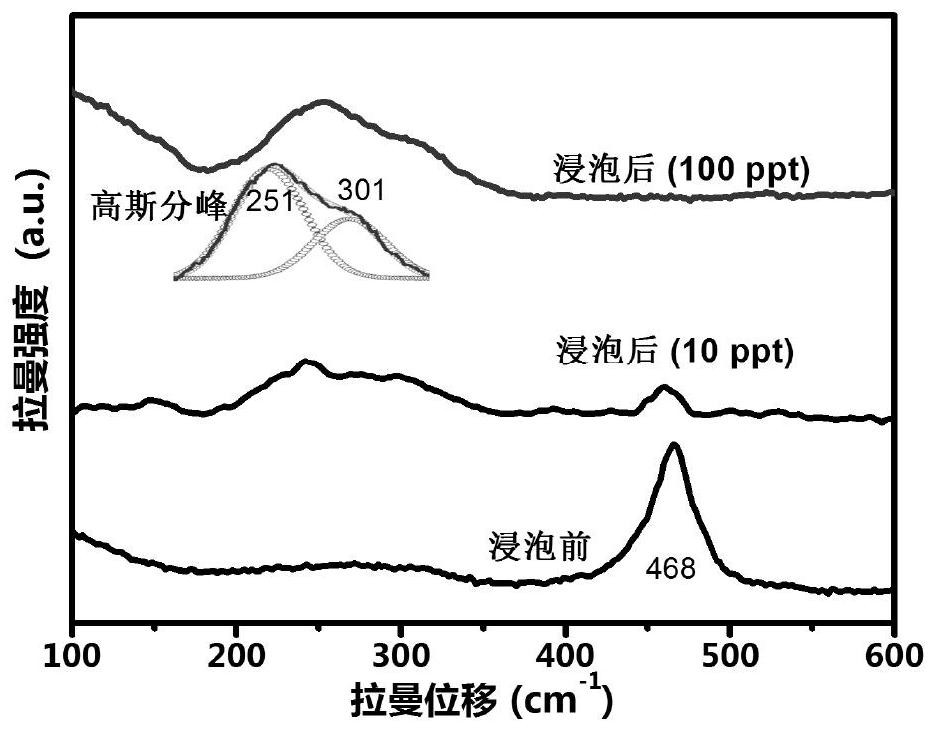 Method for Trace Detection of Mercury Ions