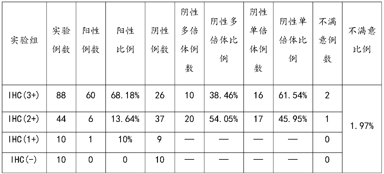 Method for manufacturing tissue chip of HER-2 FISH for gastric cancer