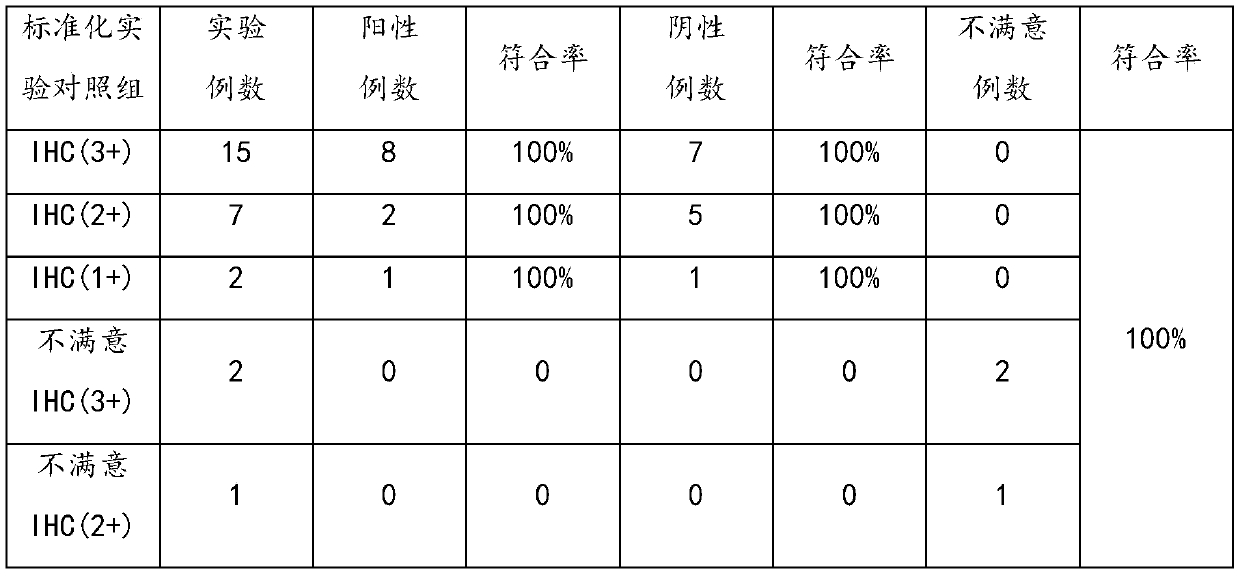 Method for manufacturing tissue chip of HER-2 FISH for gastric cancer