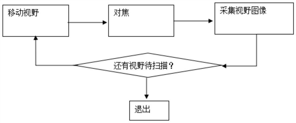 Blood examination auxiliary system