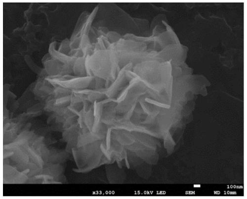 As &lt;5 +&gt; colorimetric detection method based on iron alkoxide nano-enzyme