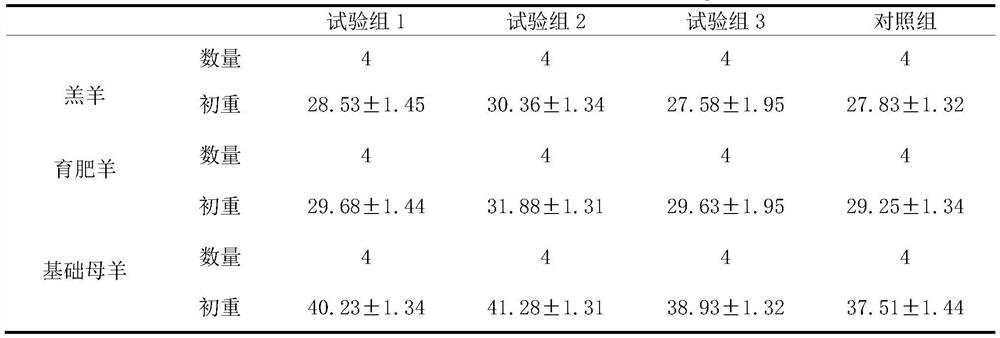 Forage grass type total mixed ration for mutton sheep