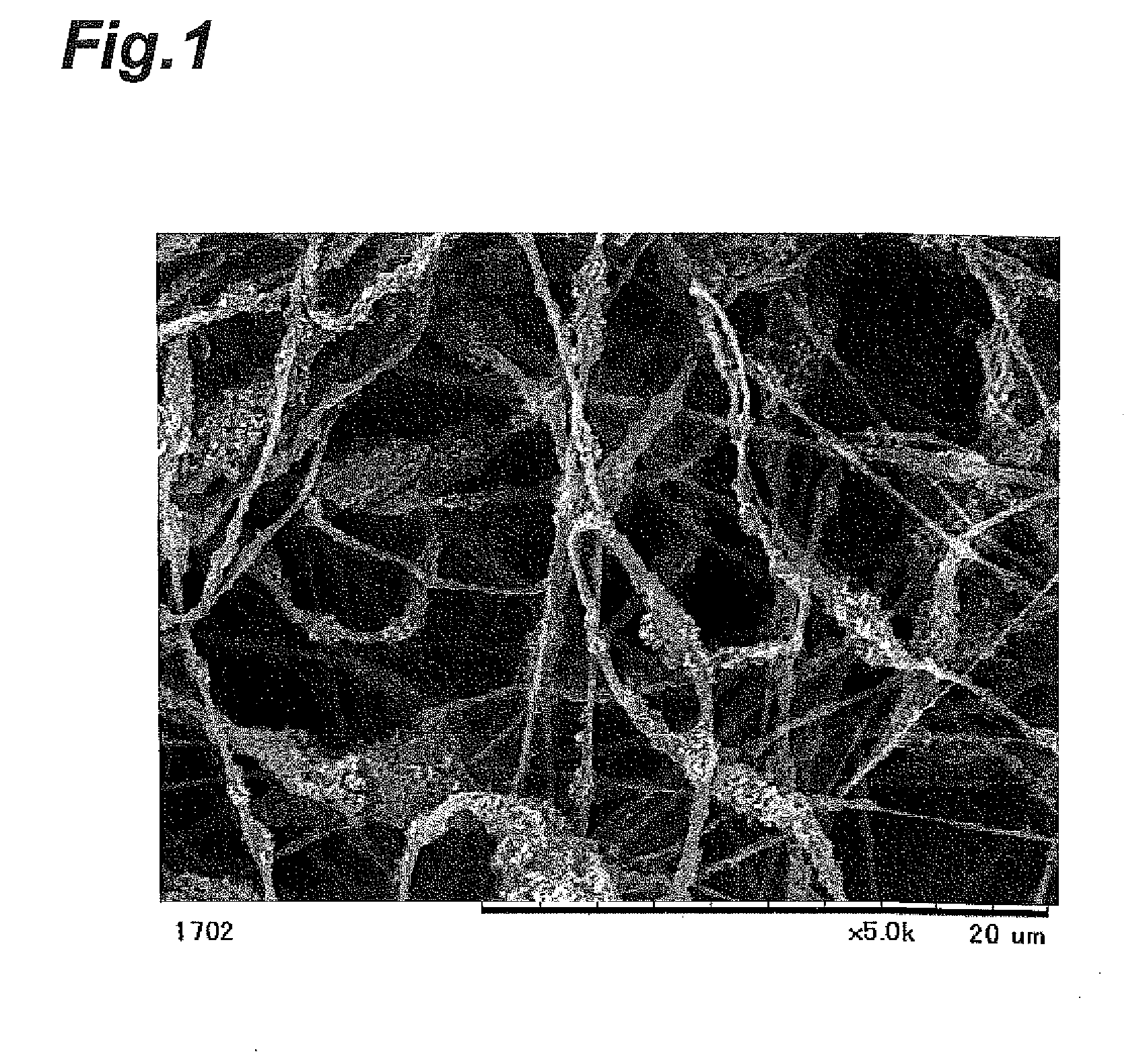 Water control sheet, gas diffusion sheet, membrane-electrode assembly and polymer electrolyte fuel cell