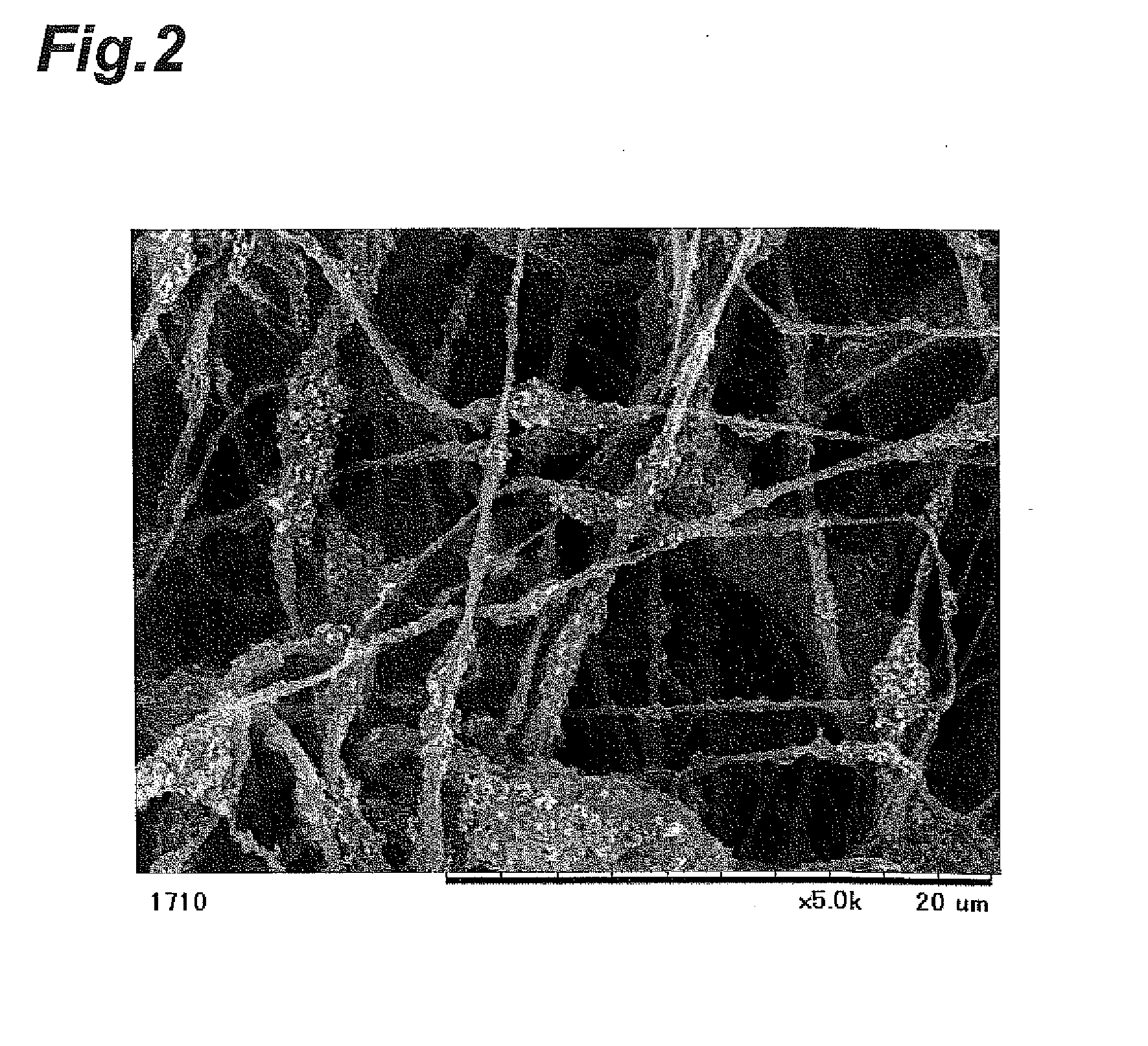 Water control sheet, gas diffusion sheet, membrane-electrode assembly and polymer electrolyte fuel cell