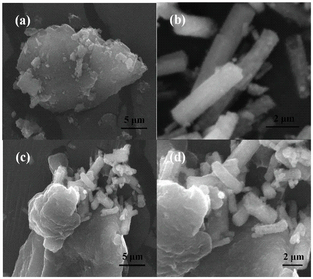 Carbon nitride-nickel titanate composite material and its preparation method and application