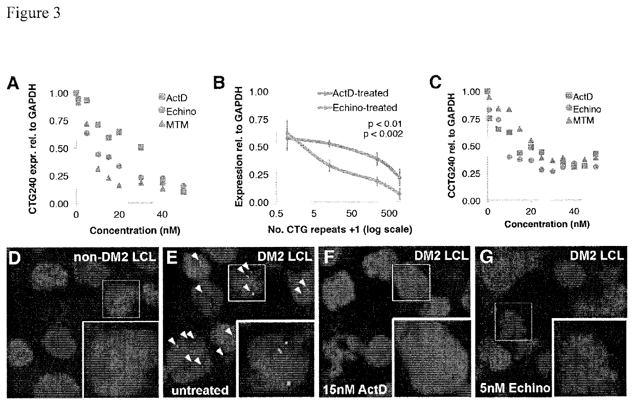 Compositions and methods for impeding transcription of expanded microsatellite repeats