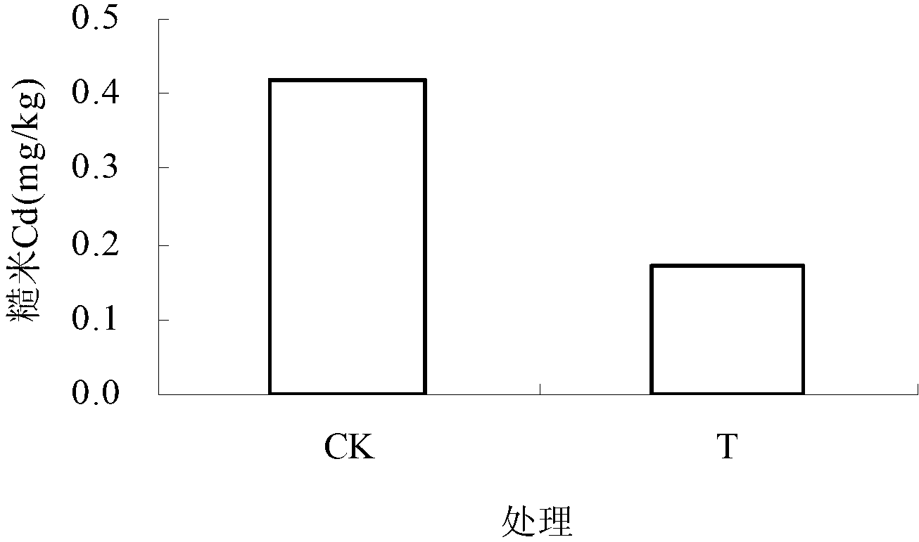 Combined prevention and control method for cadmium exceeding of rice in medium-light cadmium-polluted soil