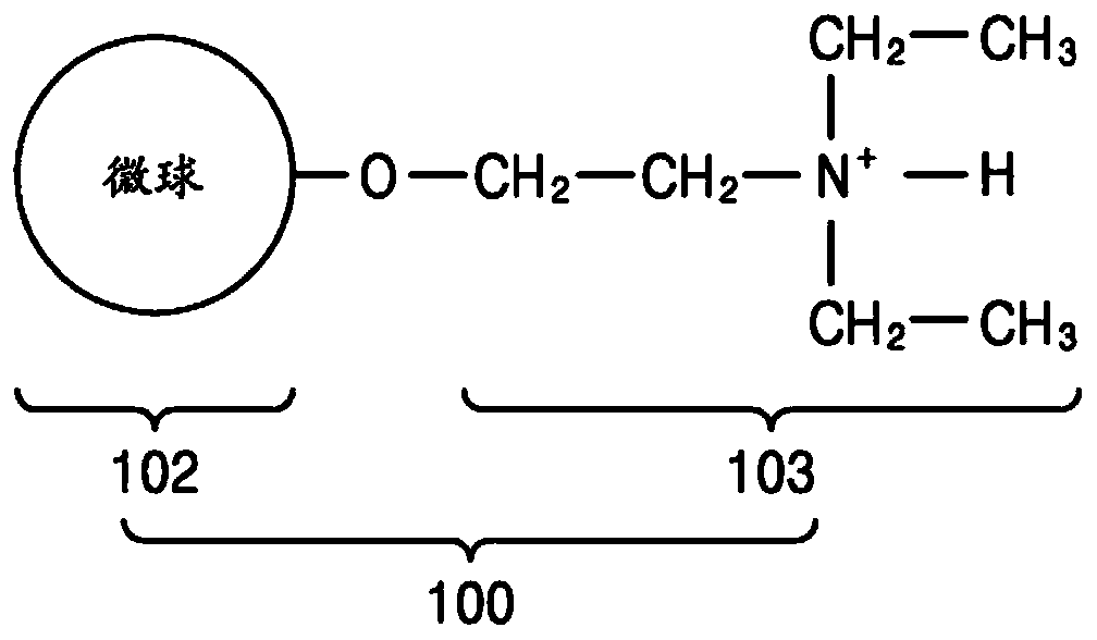 Composite electrolyte, protective film, protected negative electrode, lithium metal battery and method for manufacturing protected negative electrode