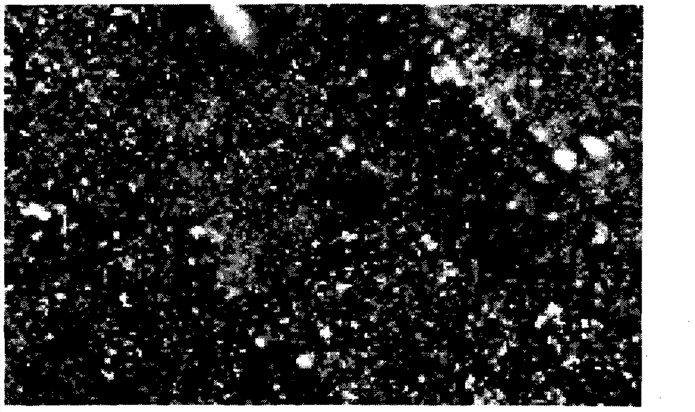 Method for degrading plant lignin by using Bacillus subtilis engineering bacterial