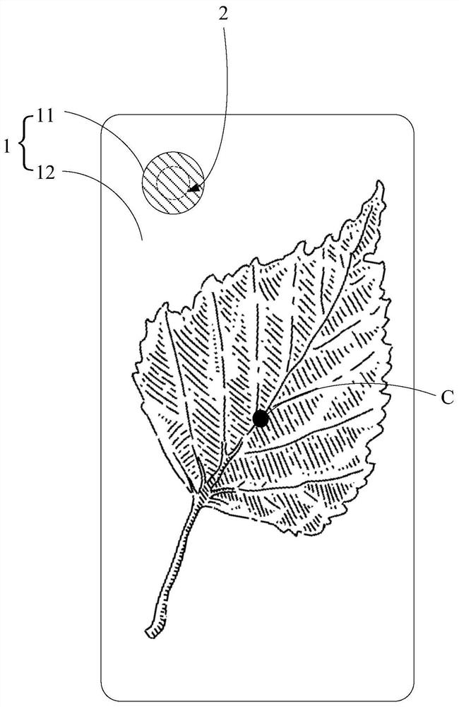 Shooting display method and device and electronic device