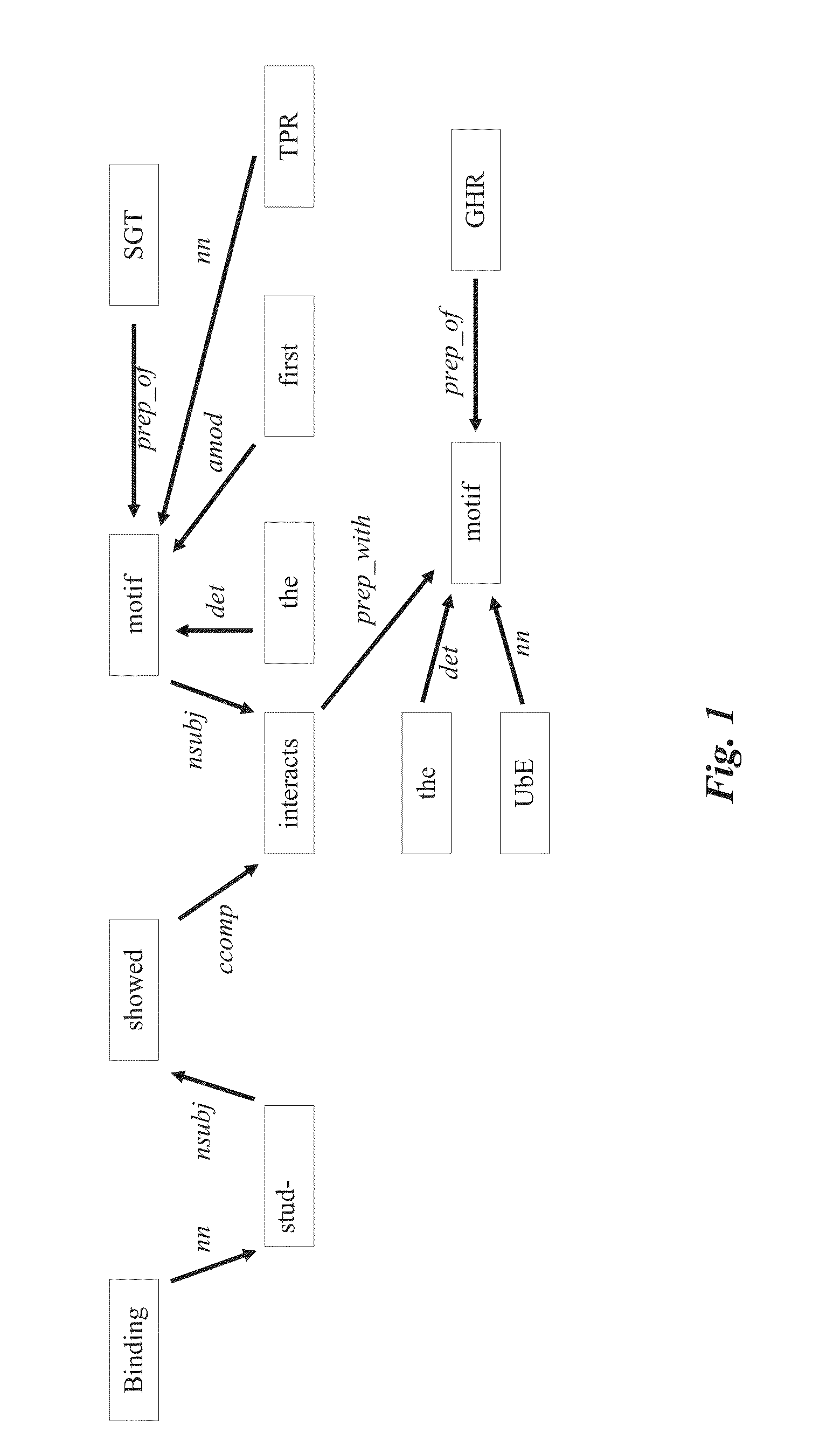 Automated Extraction of Bio-Entity Relationships from Literature