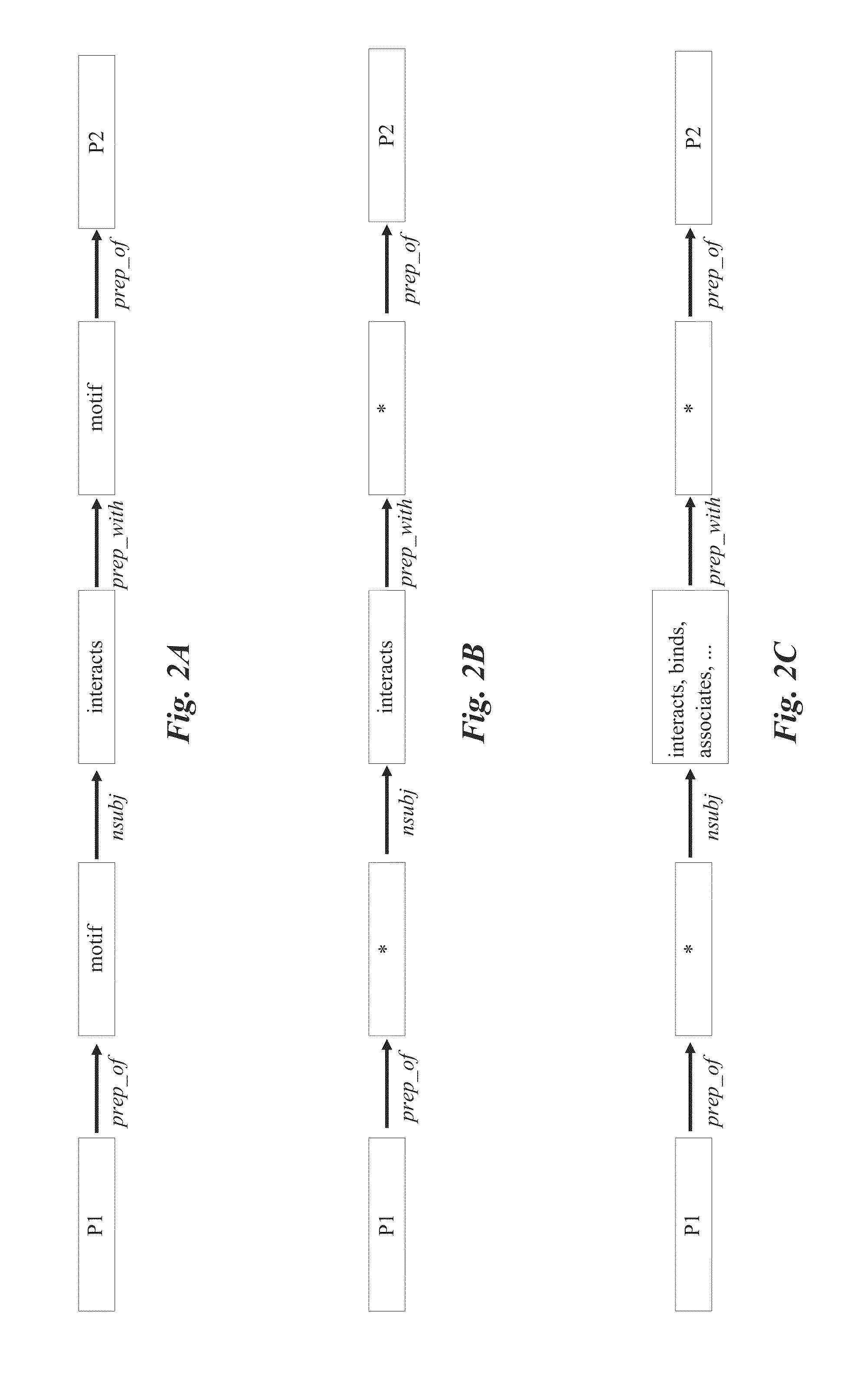 Automated Extraction of Bio-Entity Relationships from Literature