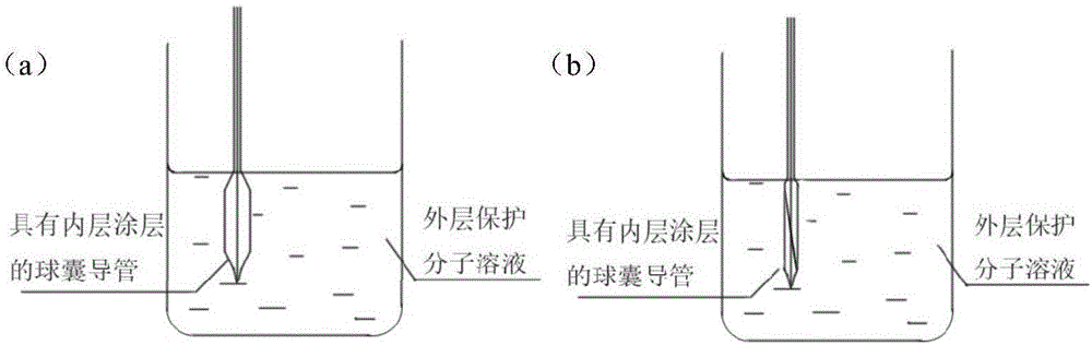 Drug coating balloon dilatation catheter and preparation method thereof