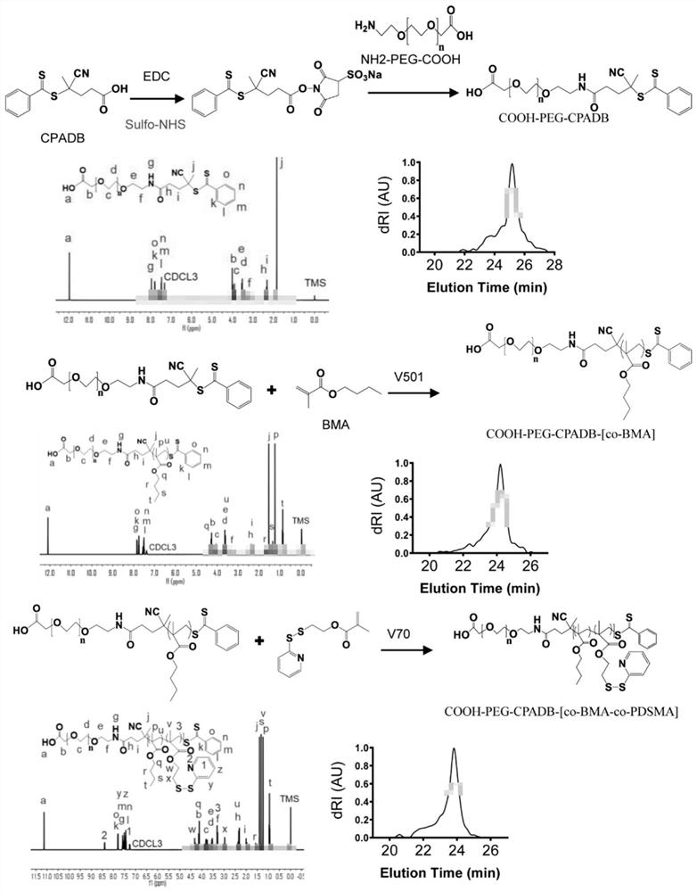 Drug-loaded microspheres for targeted inhibition of TNBC cell activity, and preparation method and application thereof