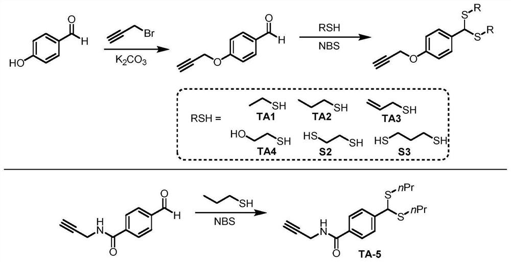 Method for modifying protein tryptophan residues