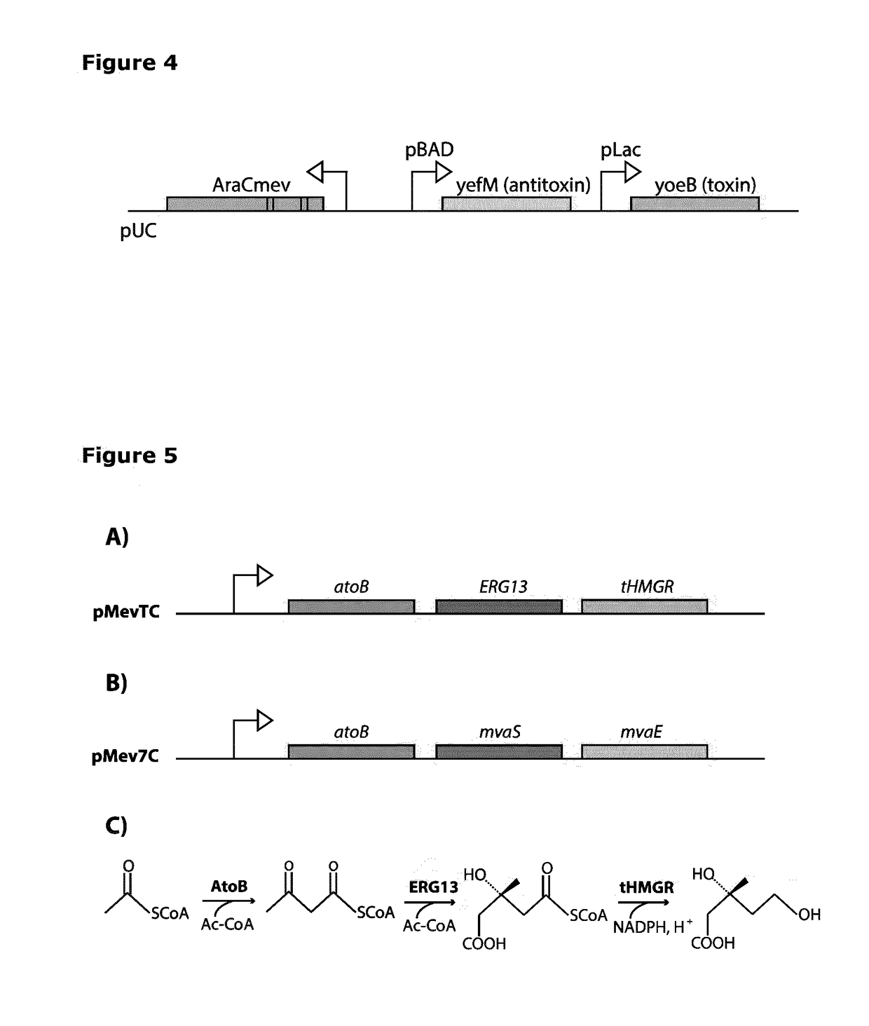 A system for improved production titers in fermentations