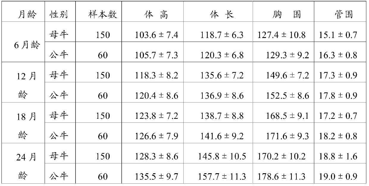 A Breeding Method of Hybrid Xiaxiben Beef Cattle