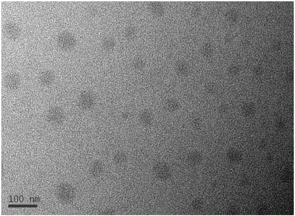 High molecular nano composite film and preparing method thereof