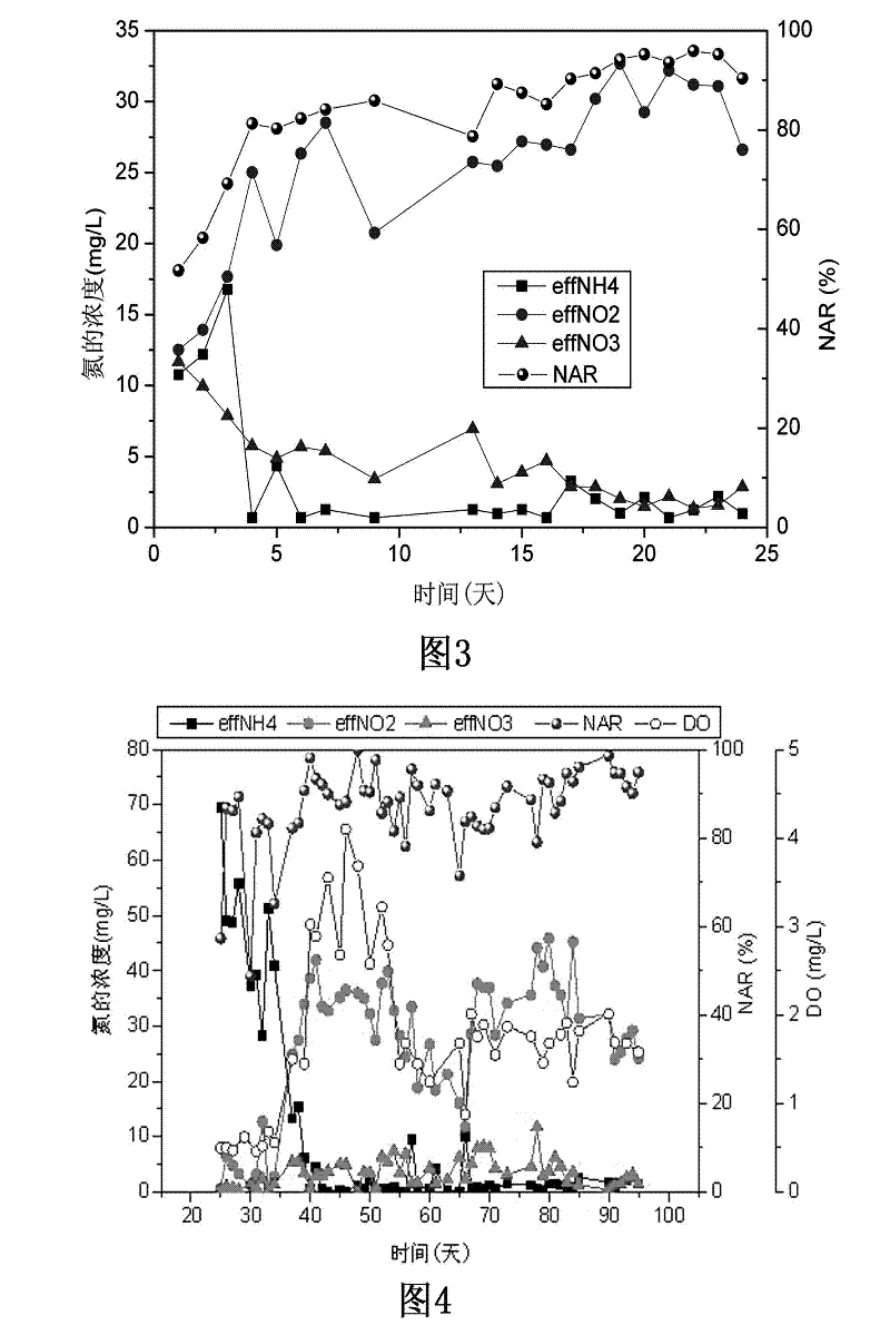 A method for rapidly achieving and stably maintaining short-cut nitrification in a continuous flow process