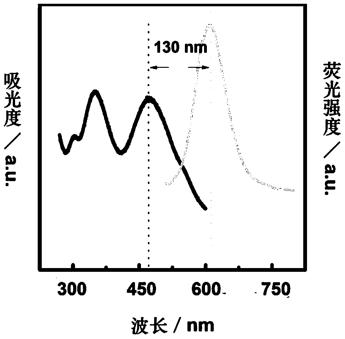 A kind of synthesis method and application of dna silver nanocluster and its cell in situ