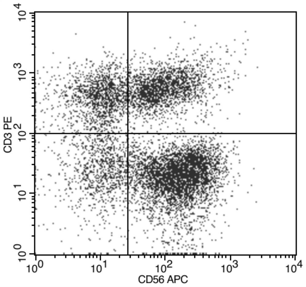 Kit for culturing natural killer cells in vitro and use method and application thereof