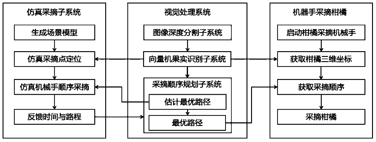 Visual identification and picking sequence planning method for oranges on trees and simulation system thereof