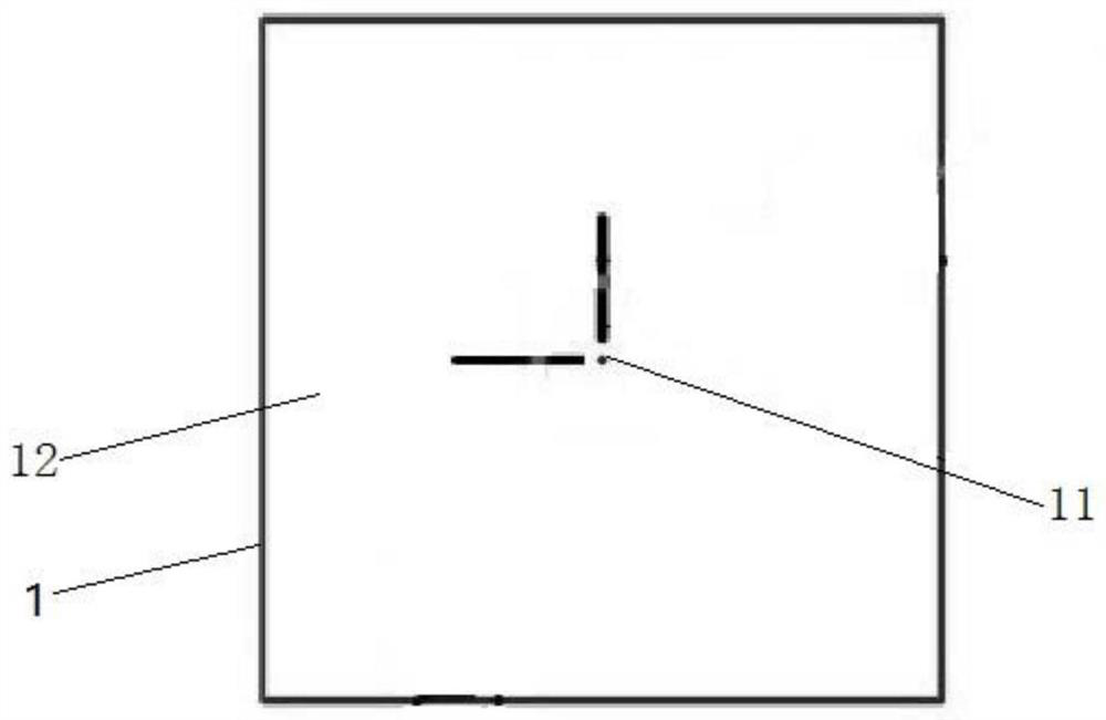 Object-carrying glassware, fluorescence microscopic imaging device and use method